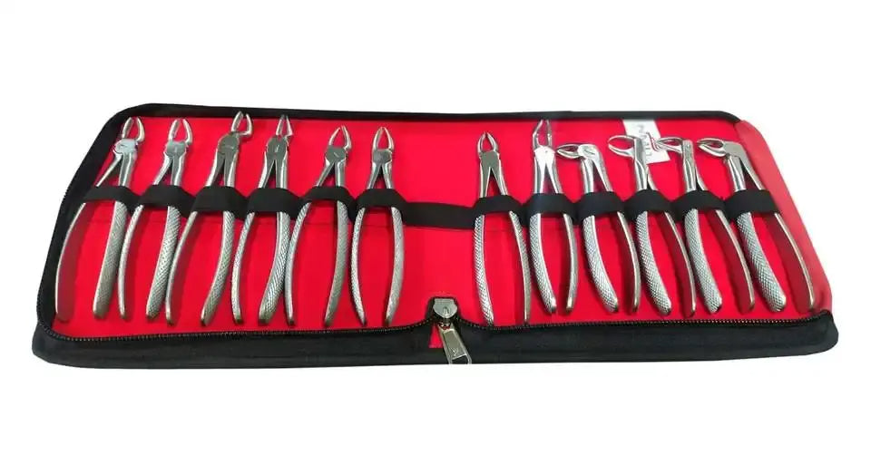 Dental Extraction Forceps Kit – 10-Piece Stainless Steel Set for Tooth Removal