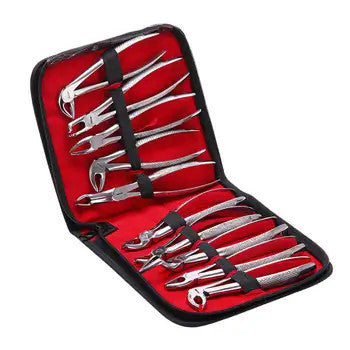 Dental Extraction Forceps Kit – 10-Piece Stainless Steel Set for Tooth Removal