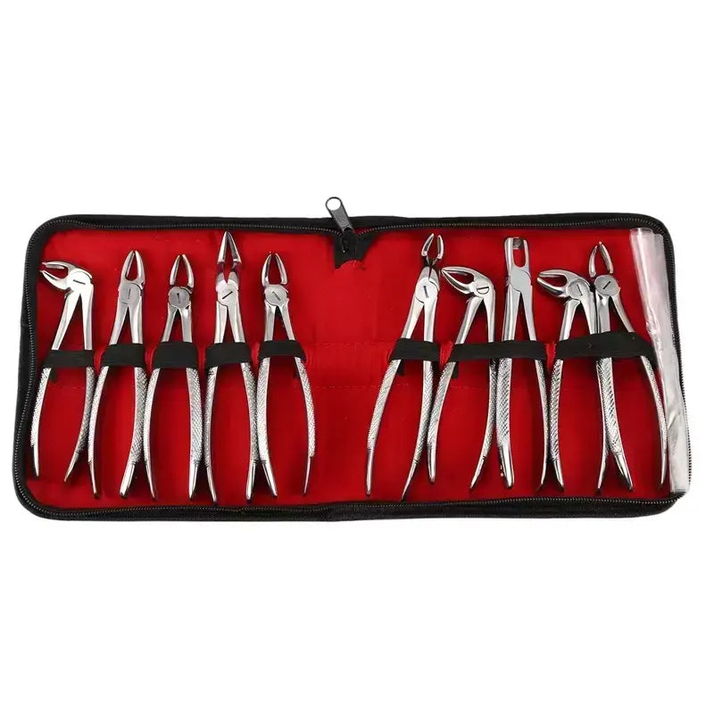 Dental Extraction Forceps Kit – 10-Piece Stainless Steel Set for Tooth Removal